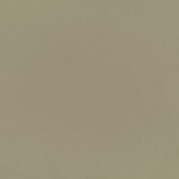 Neo Beige Pulido 59,6x59,6