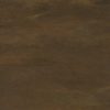 Xlight Premium 120x250 Arcan Corten Nature (6 мм)