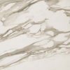 S.M. Calacatta Gold Rett 60x60