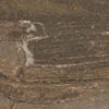 S.M. Woodstone Taupe Listello Lap 7,3x59