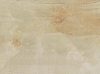 S.O. Ivory Chiffon Listello Lap. 7,3x59