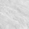 Indic Gloss 59,6x59,6