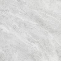 Indic Gloss 59,6x59,6