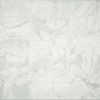 Pan De Plata 30x60
