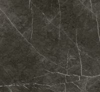 Xlight Premium 120x120 Savage Dark Polished(6 мм)