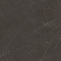 Xlight Premium 120x120 Liem Dark Nature (6 мм)