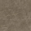 S.S. Grey Wax 60x120