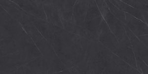 Xlight Premium 120x250 Liem Black Nature (6 мм)