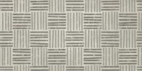 Flavin Ferro 60x120