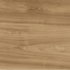 Xlight Premium 120x250 Ewood Camel Nature (6 мм)