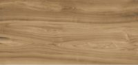 Xlight Premium 120x250 Ewood Camel Nature (6 мм)