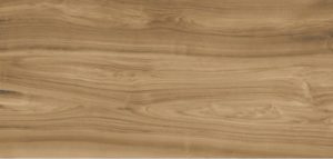 Xlight Premium 120x250 Ewood Camel Nature (6 мм)