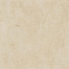 S.S. Ivory Scalino Frontale 33х120