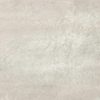 Factory Ferro Rec 60x120