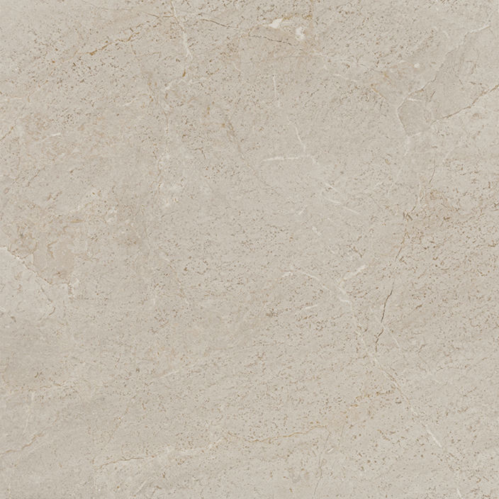 Milano Topo Brillo 59,6x59,6 1 Milano Topo Brillo 59,6x59,6
