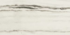PREXIOUS WHITE FANTA 6MM GLO 60X120 RET (756400) 60x120 Глазурованный керамогранит