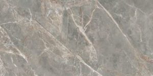 ETOILE GRIS GLO 6MM 60X240 RET (761762) 60x240 Глазурованный керамогранит