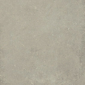 ESPRIT DE REX NEUTRAL GRIS 80X80 RET (762063) 80x80 Неглазурованный керамогранит