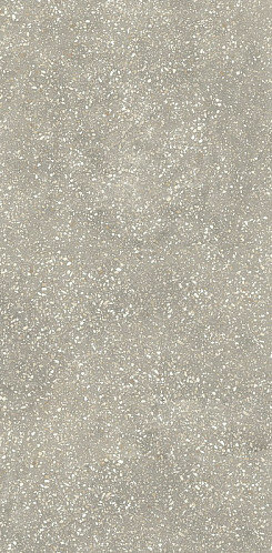 ESPRIT DE REX VINTAGE GRIS 60X120 RET (762071) 60x120 Неглазурованный керамогранит