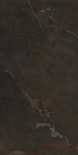ESPRIT DE REX MODERNE BRUN 60X120 RET (762074) 60x120 Неглазурованный керамогранит