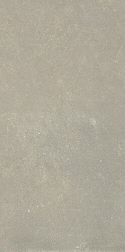ESPRIT DE REX NEUTRAL GRIS 60X120 RET (762075) 60x120 Неглазурованный керамогранит