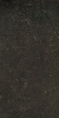 ESPRIT DE REX NEUTRAL BRUN 60X120 RET (762076) 60x120 Неглазурованный керамогранит