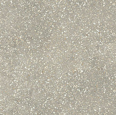 ESPRIT DE REX VINTAGE GRIS 60X60 RET (762077) 60x60 Неглазурованный керамогранит