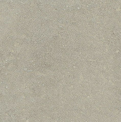 ESPRIT DE REX NEUTRAL GRIS 60X60 RET (762081) 60x60 Неглазурованный керамогранит