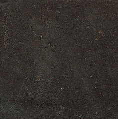 ESPRIT DE REX NEUTRAL BRUN 60X60 RET (762082) 60x60 Неглазурованный керамогранит