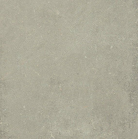 ESPRIT DE REX NEUTRAL GRIS 6MM 120X120 R (762099) 120x120 Неглазурованный керамогранит
