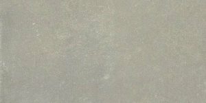 ESPRIT DE REX NEUTRAL GRIS 6MM 60X240 RT (762101) 60x240 Неглазурованный керамогранит