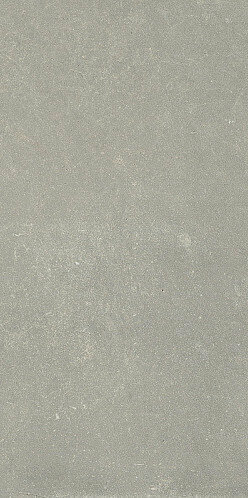 ESPRIT DE REX NEUTRAL GRIS 6MM 60X120 RT (762103) 60x120 Неглазурованный керамогранит