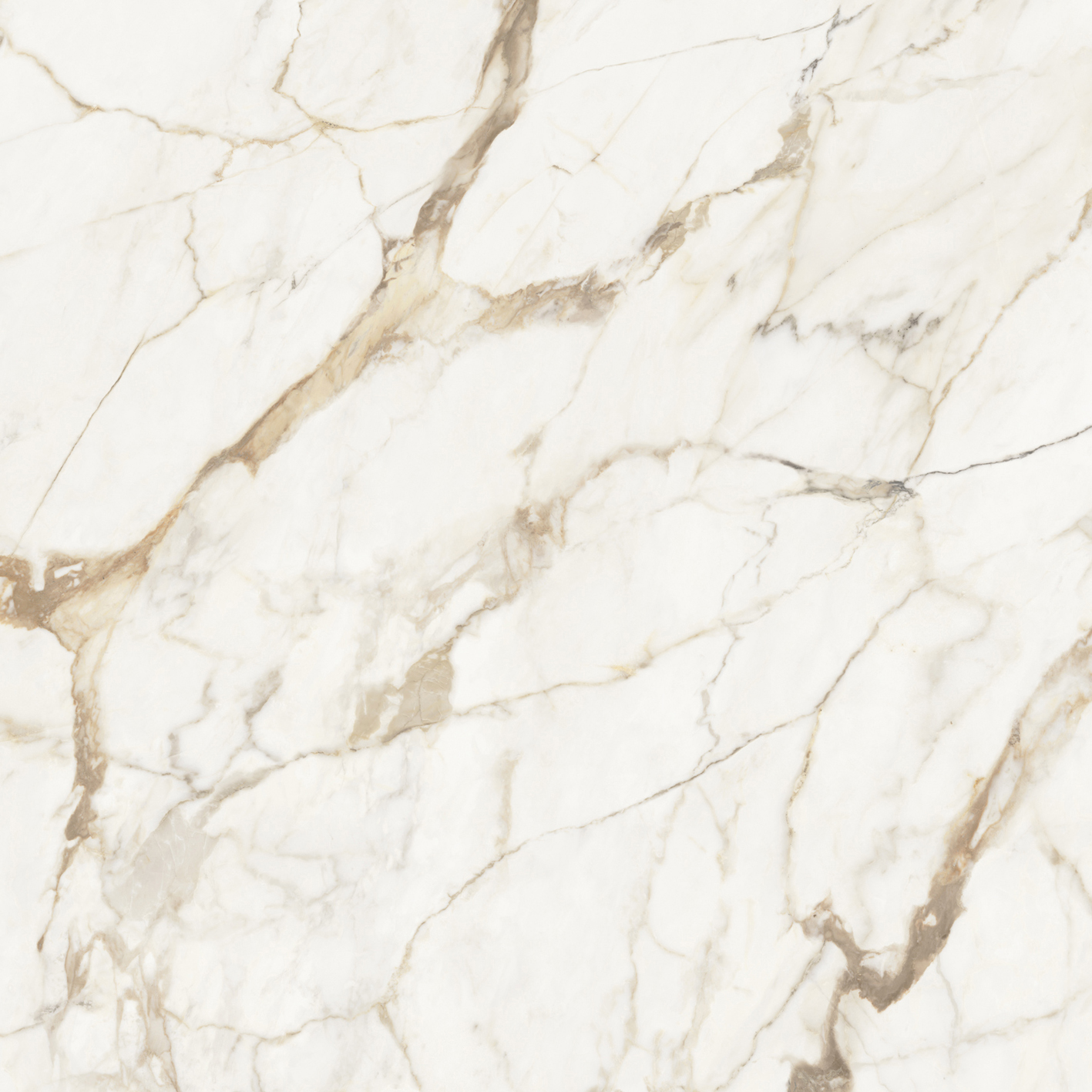 Xlight Premium 120x120 Calacatta Gold Polished 1 Xlight Premium 120x120 Calacatta Gold Polished
