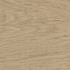 Forest Arce 14,3x90