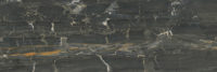 Leonardo Black Gloss 30x90