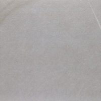 Dayton Ash 59,6x59,6