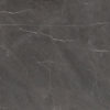 Xlight Premium 120x250 Liem Grey Polished (6 мм)