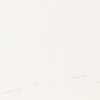 Artic Nature 59,6x59,6