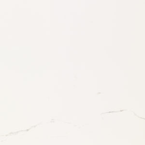 Artic Nature 59,6x59,6