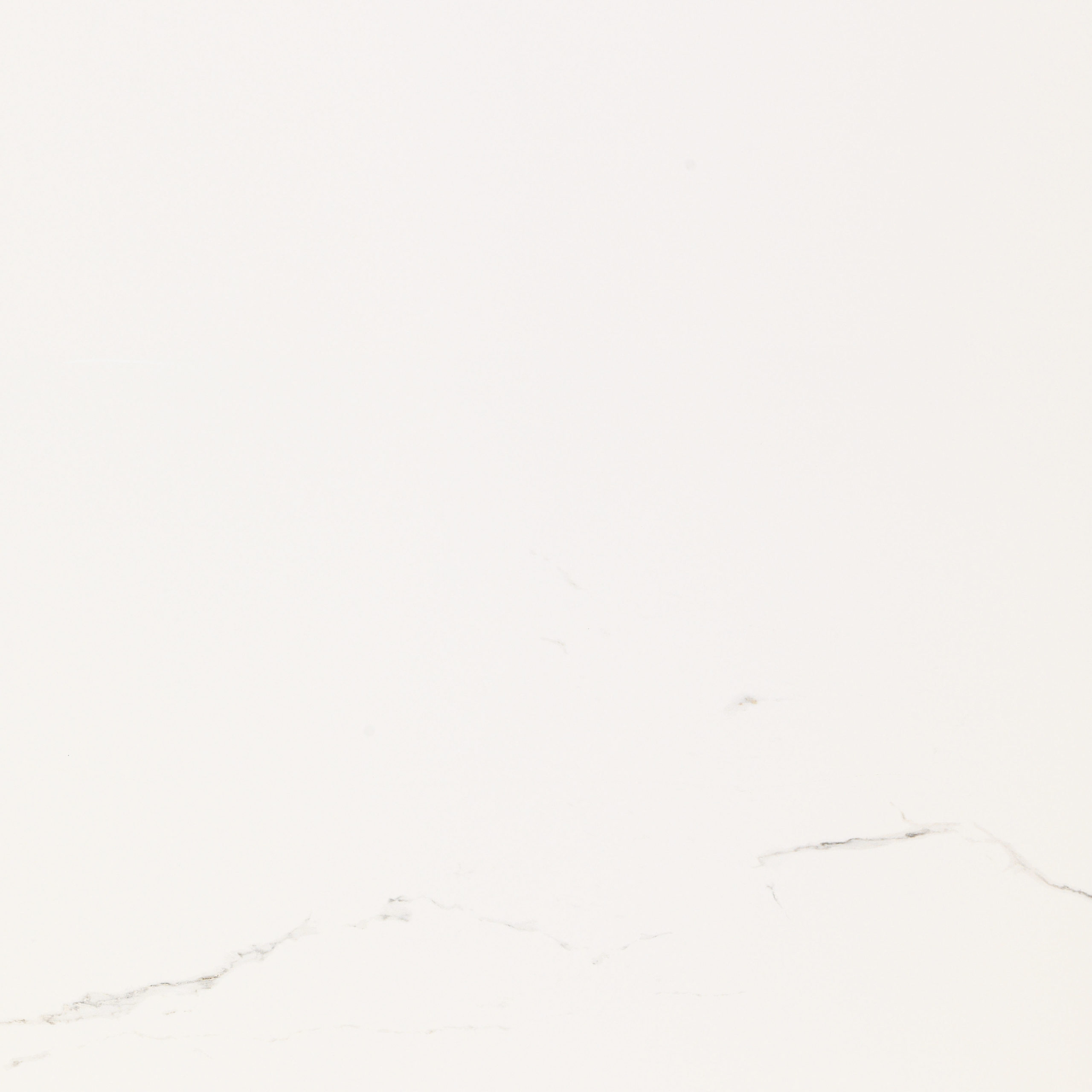 Artic Nature 59,6x59,6 1 Artic Nature 59,6x59,6