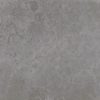 Karachi Grey 100х100