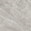 Indic Gris Nature 100x100