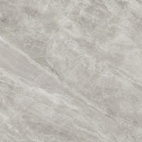 Indic Gris Nature 100x100
