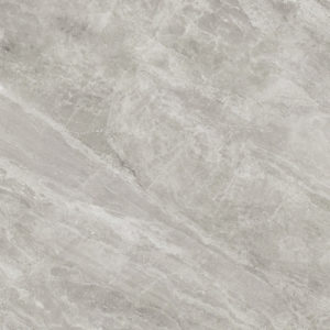 Indic Gris Nature 100x100