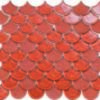 Coral 30x26