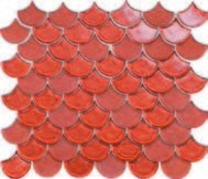 Coral 30x26