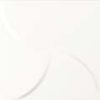 Aria White 25x25