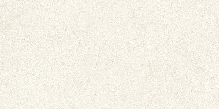 Neo White Texture 29,7x59,6 1 Neo White Texture 29,7x59,6