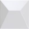 Japan White Gloss 25x25
