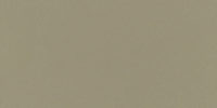 Neo Beige Polished 29,7x59,6